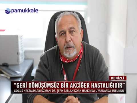 Dünya KOAH Günü - Uzm. Dr. Şefik Tarlan  (Pamukkale TV)