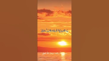 الشيخ عبد الفتاح الطاروطي.. نوادر روعه اجمل ما قراء #تلاوات