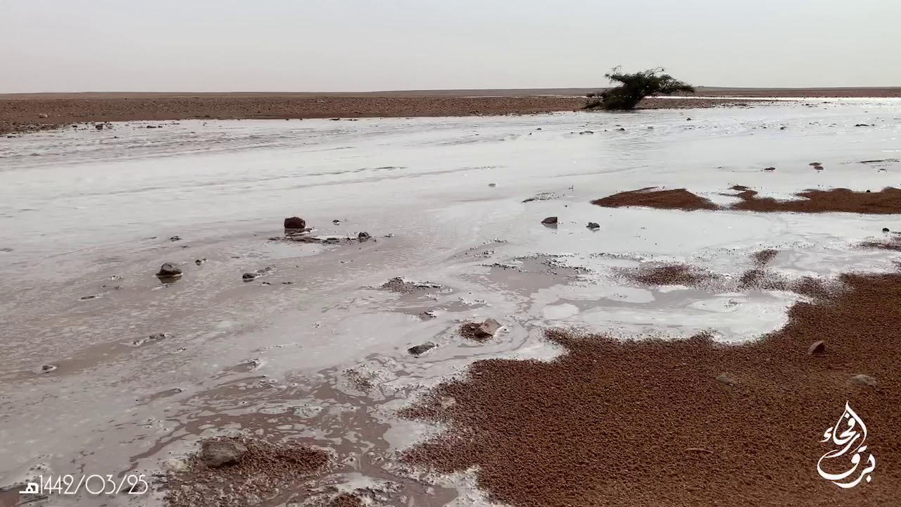 امطار هجرة زبالا وشعيب المديسيس 1442/03/25