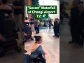 The most relaxing airport entrance in the world .. #Shorts #trending #viral #travel #travelshorts