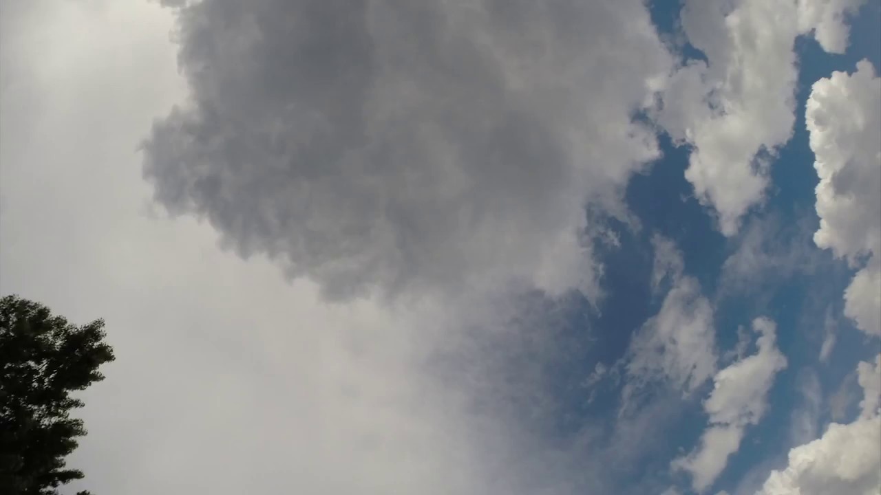 Sepp - Early 2014 track