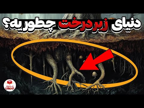زیر خاک چه می گذرد سیستم مرموز ریشه درخت ها که همه را شوکه می کند