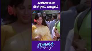 கண்ணனை இன்னும் காணும் | Jodi Movie Comedy Scenes | Prashanth | Simran | Ambika | #ytshorts