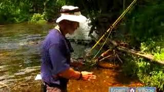Learn About a Fish's Sense of Smell Learn About a Fish's Sense of Smell