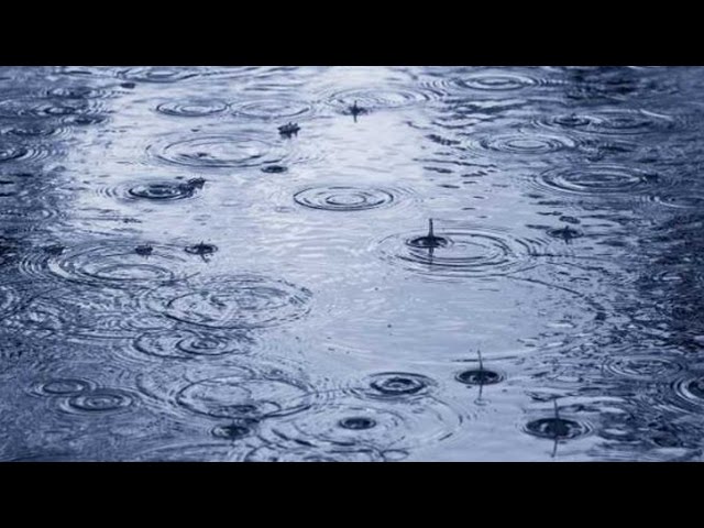 Acker Bilk - Raining In My Heart