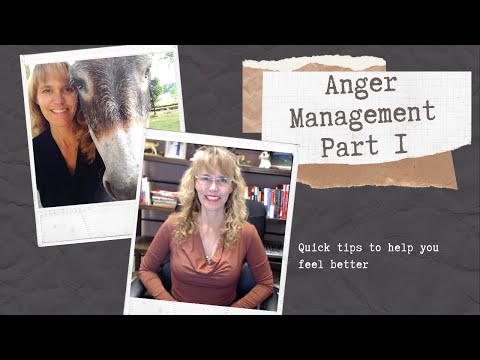 Anger Management Part 1 | Counselor Toolbox Podcast with Dr. Dawn-Elise Snipes