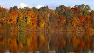 Mantovani and his Orchestra-The Heart Of Budapest..... chords