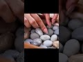 ASMR Sounds