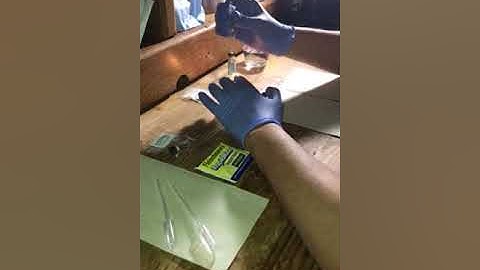 Culturing microbes in broth