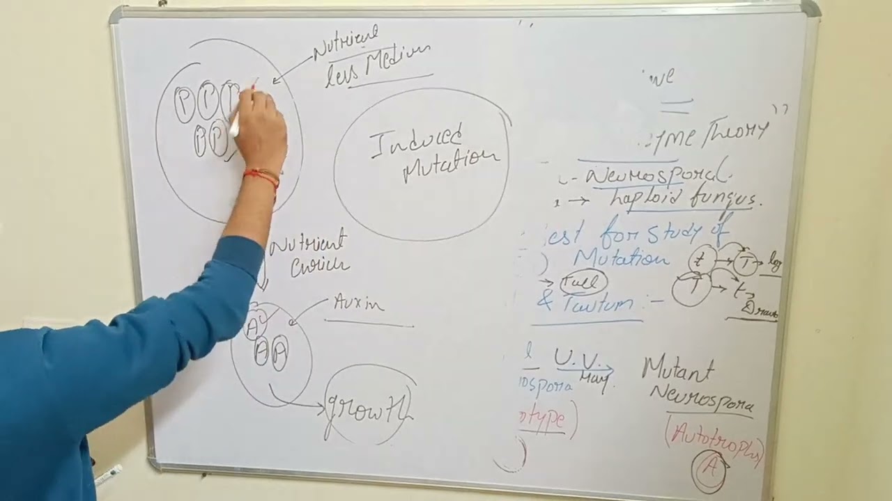 mutation part 2 | For neet 🧬 by MBBS student 🩺😎♥️ 
