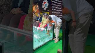 NR Fish Spa🥰 Besant Nagar beach +919952085544 #youtubeshorts #spa #cute #fish #yt #youtube #chennai