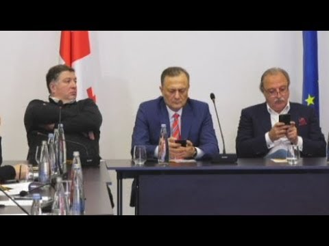 რა მოთხოვნით მიდის ოპოზიცია ხვალ \"ქარულ ოცნებასთან\"