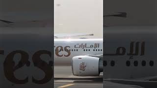 Spotted the Triple 7 egg, Happy EGGster Sunday! A6-EGG #shorts