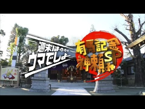週末は・・・ウマでしょ！ＳＰ（１） 2016有馬記念