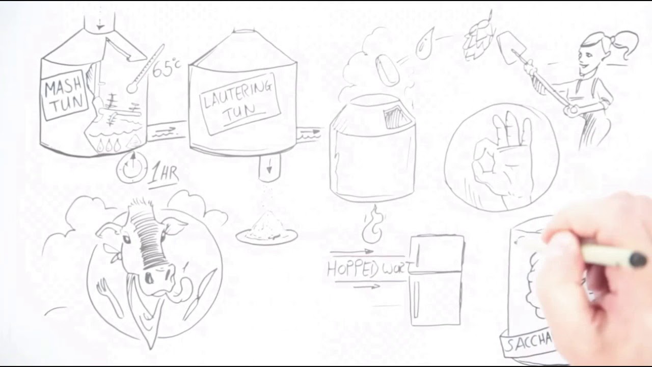 Do you know how beer is made? YouTube