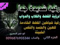 رقية الشيطانة القطه الساحره الحاسده العاشقه التي دمرت كل شيء وتسحر لأفراد الأسرة رقية الشيطانة القطه الساحره الحاسده العاشقه التي دمرت كل شيء وتسحر لأفراد الأسرة