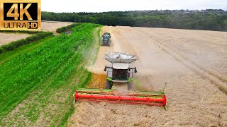 Massive Wheat Harvest with Incredible Machines CLAAS JOHN DEERE CASE NEW HOLLAND