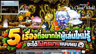 5 เรื่องที่ผู้เล่นใหม่ต้องรู้! จะได้ไม่พลาดแบบผม 😂 | MapleStory Classic World