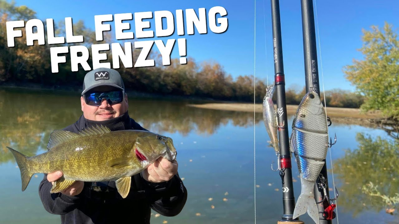 ABSURD Fall Feeding Frenzy on the Great Miami River! - YouTube