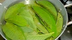 Cara cepat memanjangkan rambut dengan daun ini.... - Durasi: 3.35. Cara cepat memanjangkan rambut dengan daun ini.... - Durasi: 3.35.