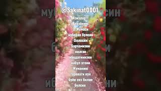 Рамзонинг 3- чи Жумаси муборак булсин @Sakinat0001