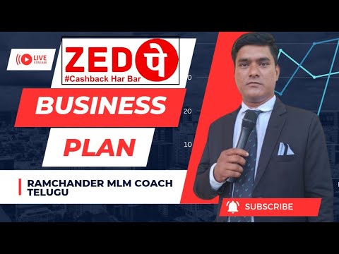 zed pay business