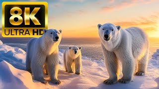 CUTE BABY ANIMALS - 8K (60FPS) ULTRA HD - With Nature Sounds (Colorfully Dynamic)