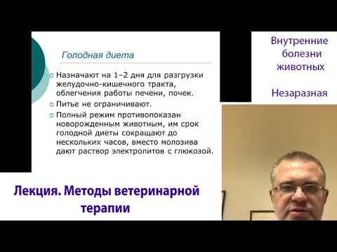 Методы Ветеринарной Терапии. Внутренние Болезни Животных