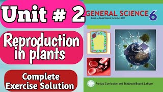 Celebrity 6th Class General Science Chapter 2 - Exercise Question Answer - Class 6 General Science Chapter 2 Net Worth