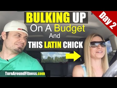 bulking and cutting before and after Bulk for Gains Episode 2 (Bulk on a Budget)
