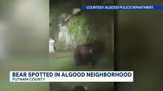 Authorities warn Algood community about bear sighting