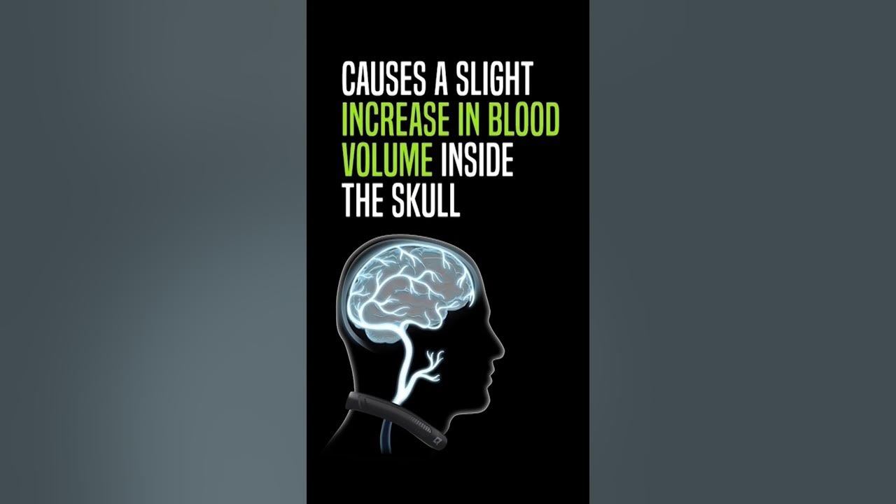 How Does the QCollar Work? shorts YouTube