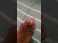 clip staily 🤣🤣😂😂