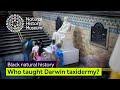 Charles Darwin and John Edmonstone: A Historical Perspective