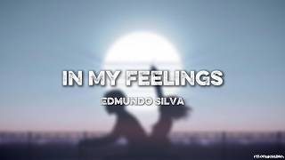Edmundo Silva - In My Feelings (Lyrics)