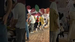 iran walking tour, Tehran | تهران پارک آب و آتش