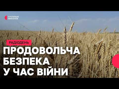 Food security during the war: how agricultural production is being maintained in the Mykolaiv region