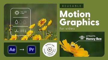 Reusable Motion Graphics for Video: From Adobe After Effects to Premiere