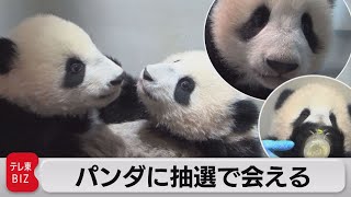 上野パンダ 一般観覧の申し込み始まる（2021年12月21日） - YouTube