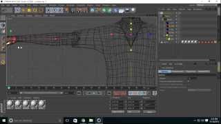 Basic of how to Rigging a Character  in cinema 4d