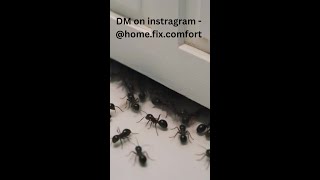 Door gap se dust aur insects aa rahe hain? Yeh solution try karo!