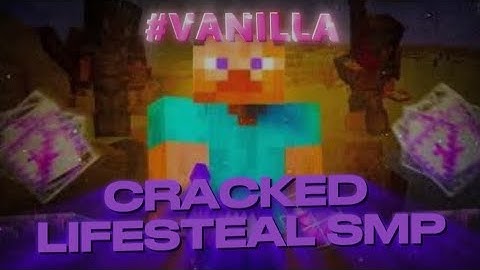 The best cracked lifesteal SMP? (NO RULES)