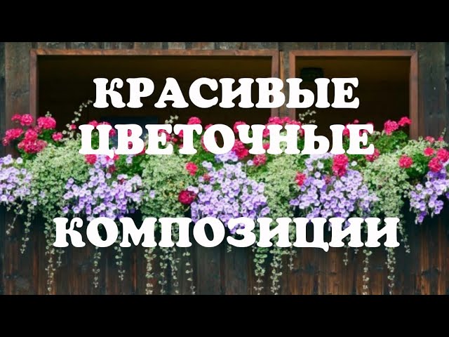 дизайн балконных растений