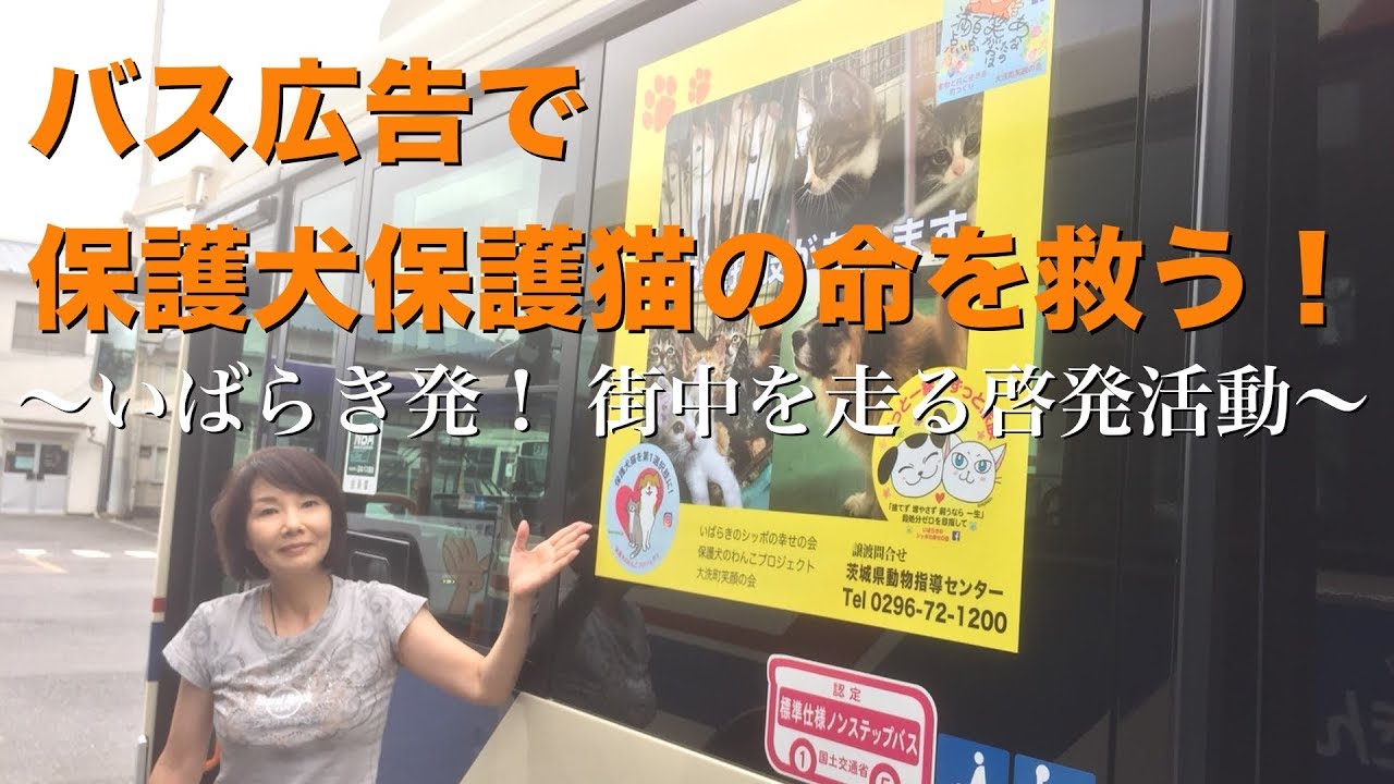 バス広告で保護犬保護猫の命を救う いばらき発 街中を走る啓発活動 Youtube