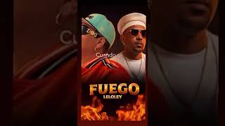 Fuego con los leloley - Reinier Rojas ft Adonis Llerena | Proximamente
