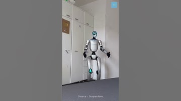 De loyaliteitstest van de robot