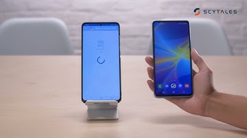 Sharing the contact data via QR code from a Scytáles ISO mDL/mID with a Scytáles Validator