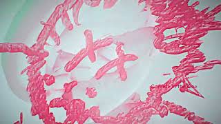 Y2Mate is   Marshmello & Halsey   Be Kind Marshmello Lyric Video flEc35foIg0 1080p 1659788722903