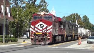 NS 8104 Lehigh Valley Heritage Unit Leading NS 191 10/22/6