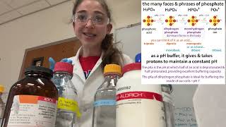 Practical guide to phosphate buffers